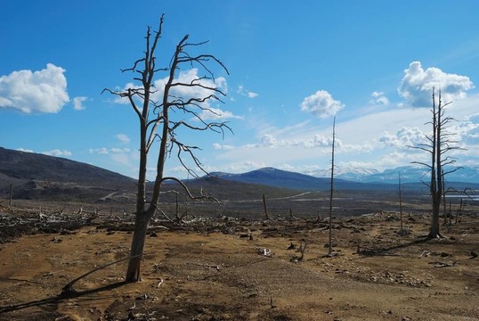 死氣沉沉的土地