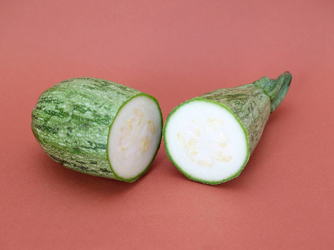 西葫蘆