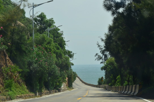 馬路