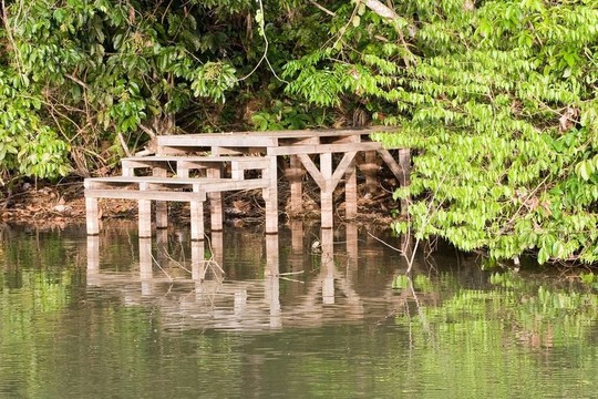 湖成新寵