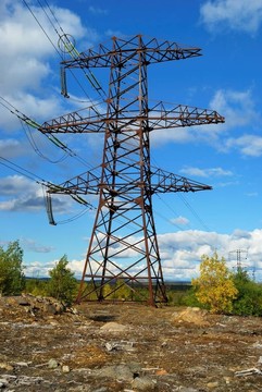 電源線
