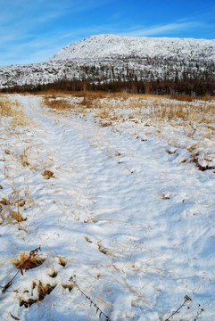 農(nóng)村公路上的雪
