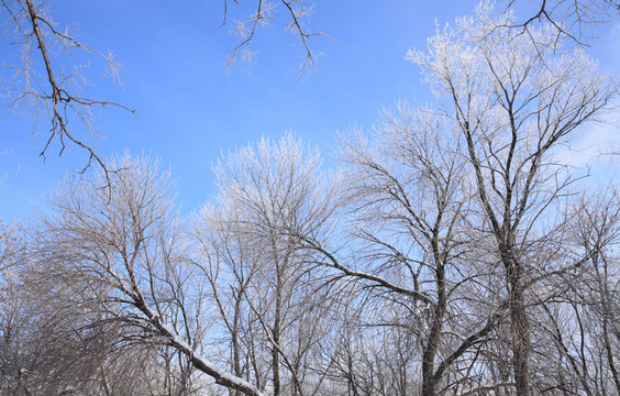 wintern天