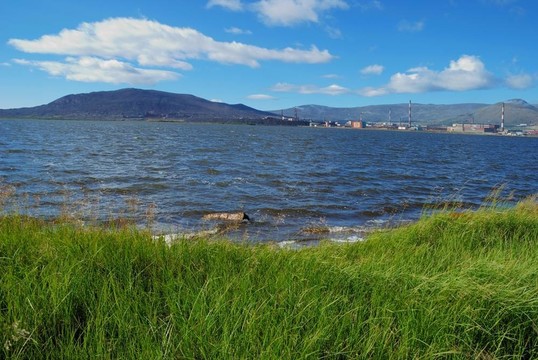 在海岸