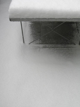 桌上的白雪
