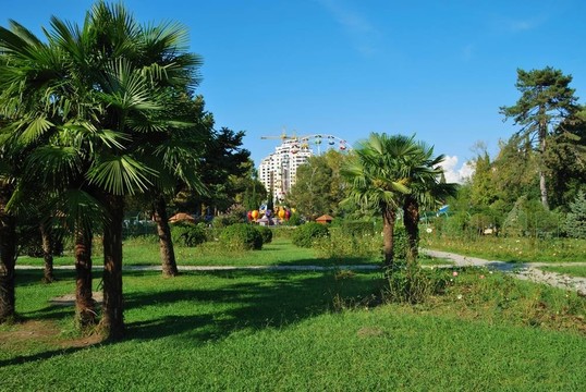 在城市公園