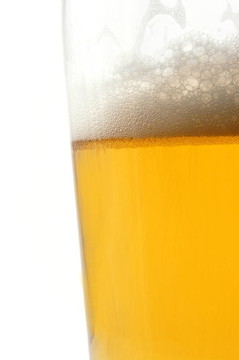 白底啤酒