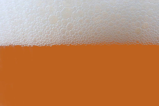 杯啤酒