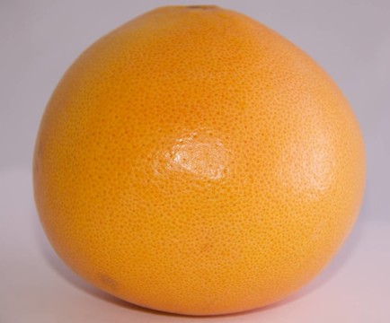 葡萄柚
