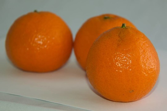 Tangerine夜店