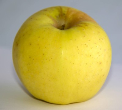 黃色的蘋(píng)果