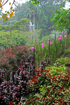 新加坡植物園