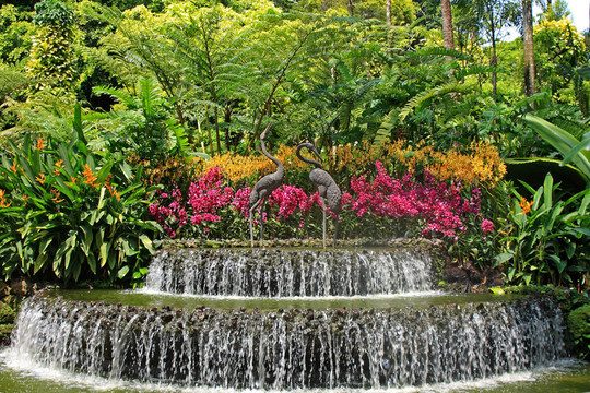 新加坡植物園