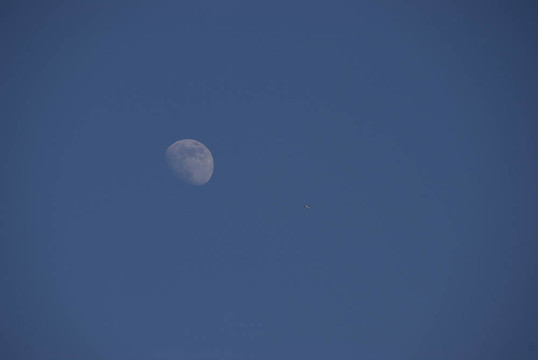 Moon在下午