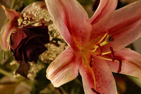花