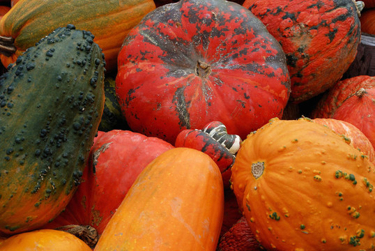 哦，我的Gourd！