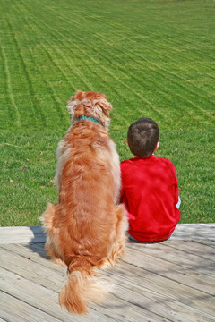 男孩和His Dog