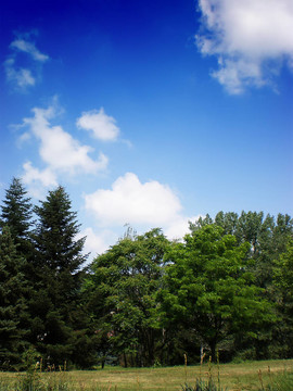 景觀