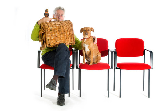 人與動物