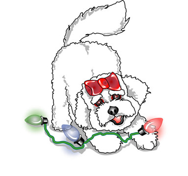 貴賓犬、比熊犬CHR