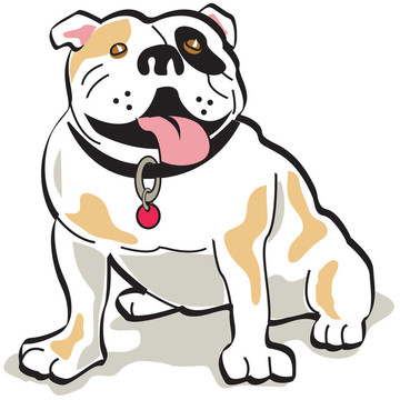 斗牛犬/狗剪貼畫