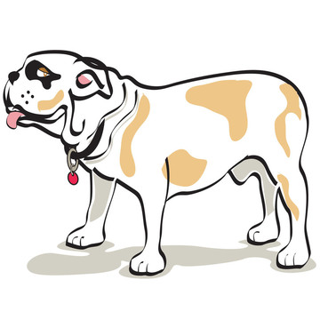 斗牛犬/狗剪貼畫