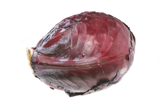 紅甘藍(lán)