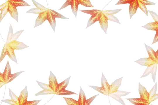 秋天的落葉