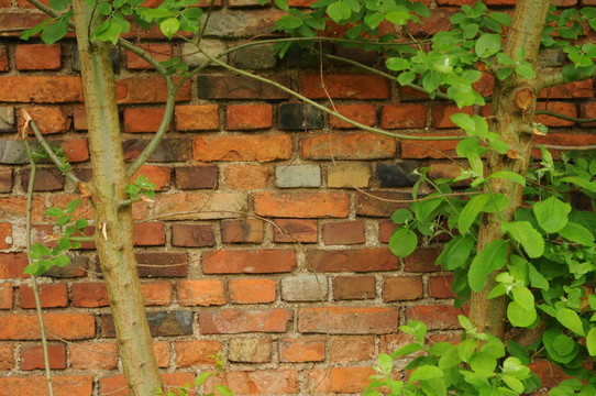 Wall 102