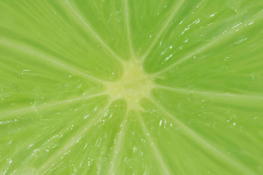 石灰段