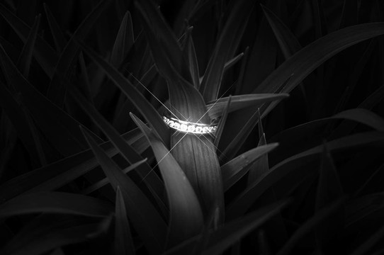 結(jié)婚戒指的光芒
