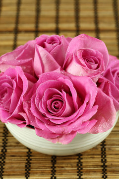 粉薔薇