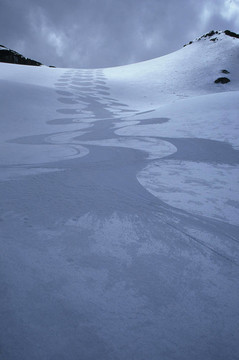 在科羅娜啤酒槽黑梳山滑雪道