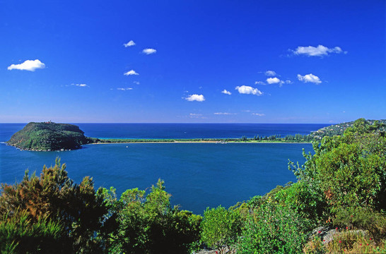 棕櫚灘半島。