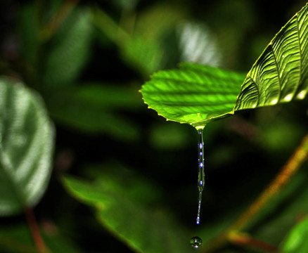 下雨天