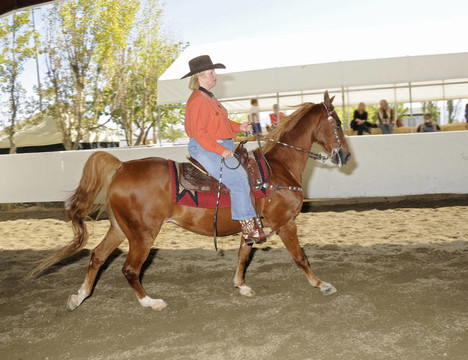 女人騎著Saddlebred horse