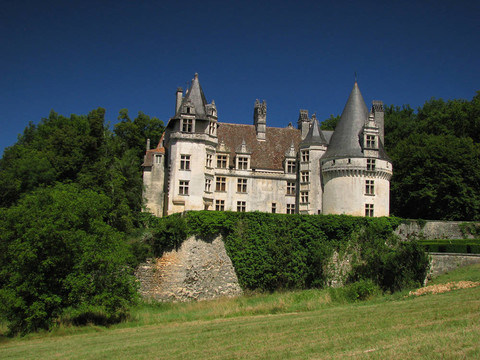 城堡puyguilhem