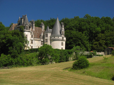 城堡puyguilhem