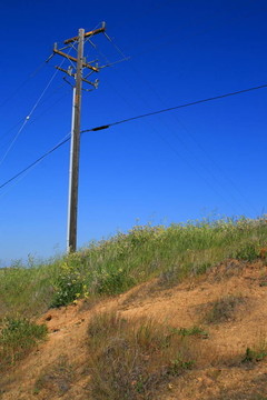 電線桿