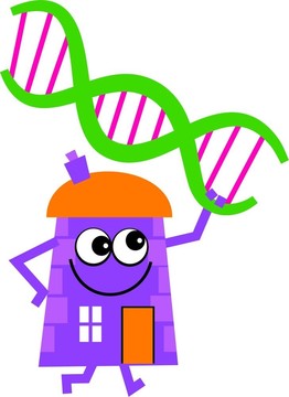 DNA的房子