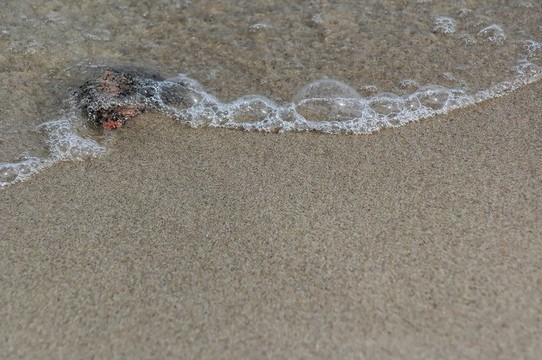 海灘上的鵝卵石