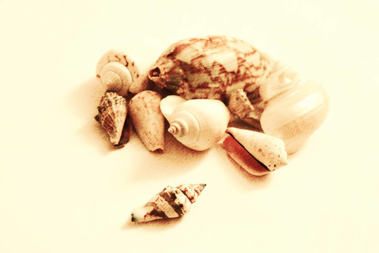 殼牌集團(tuán)