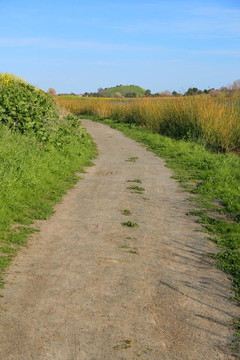 公園里的小徑