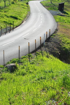 公園里的路