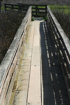 木頭橋