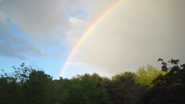 在Rainbow