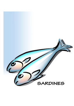 沙丁油魚