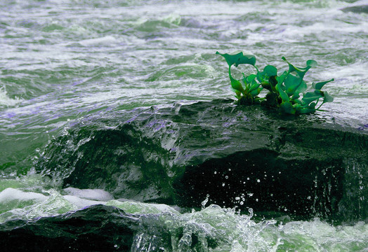 水；液體；流體；流動(dòng)；瀑布；級(jí)聯(lián)