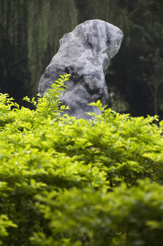 一個(gè)中國(guó)的花園