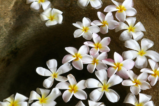 浮花